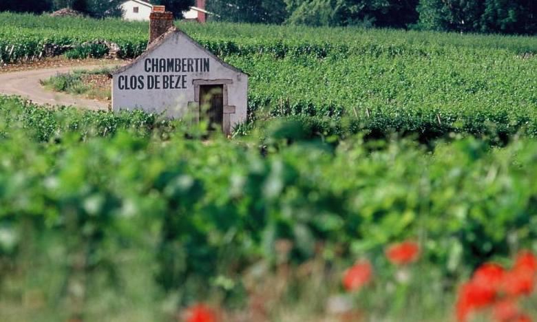 Burgund ©Atout France_CRT Bourgogne- Alain Doire