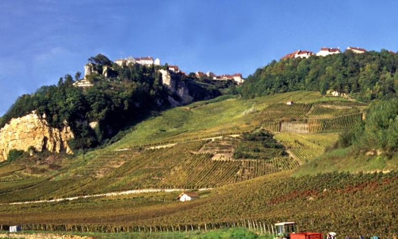 Weinberg im Jura ©Atout France-CRT Franche-Comté_AC Tréboz Mention