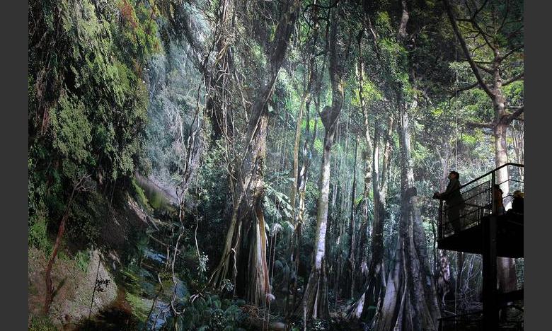 Amazonien© Asisi